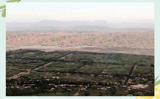 阿克苏：塔里木盆地边缘的防疫屏障与破防时刻