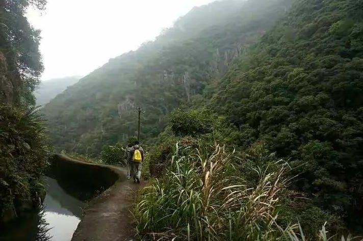 翁源县：粤北生态屏障下的低感染率样本