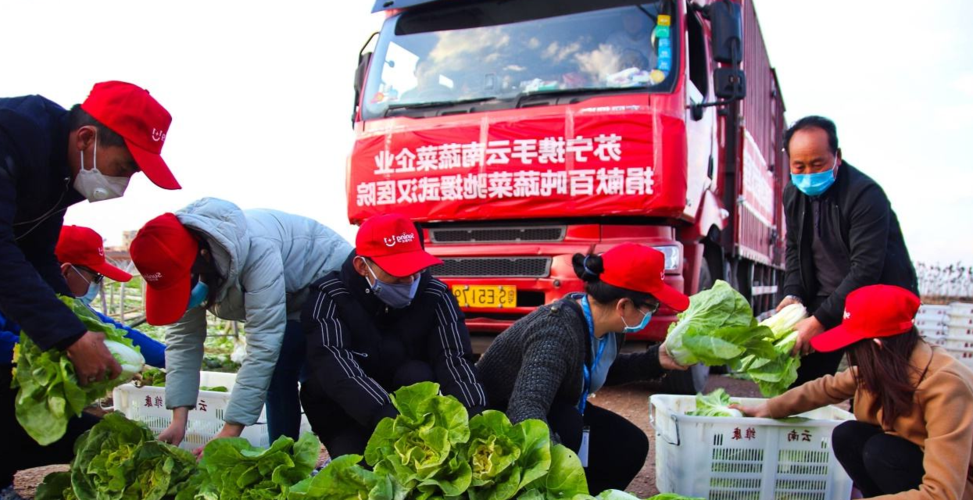 金湾区：滨海工业新城的防疫压力测试_41629