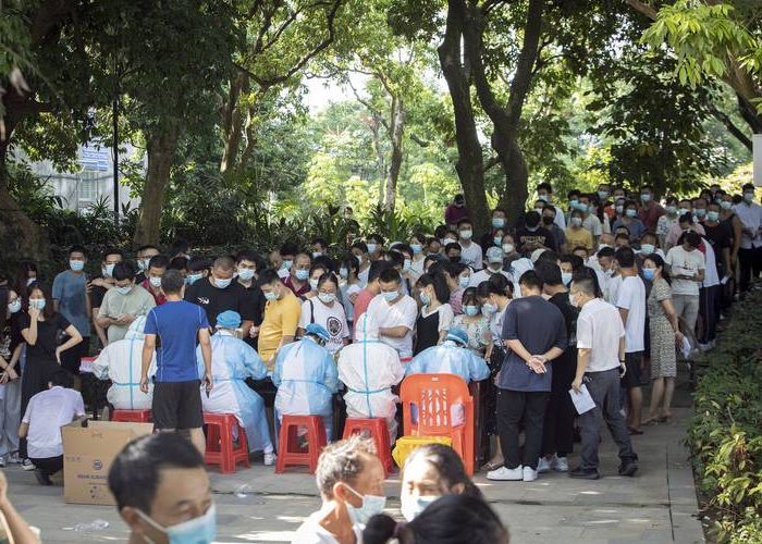 31省新增本土9例(31省新增本土确诊9例)_44192