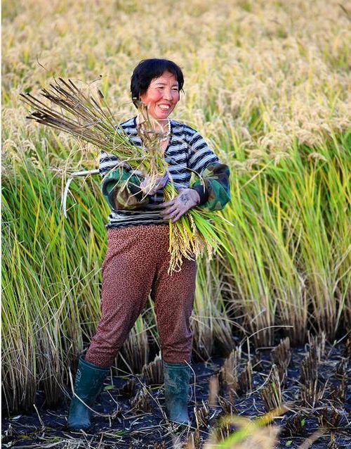 肇源：松嫩平原腹地的防疫样本与挑战