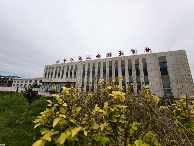 金昌：戈壁工业城的疫情防线与零感染坚守_4226