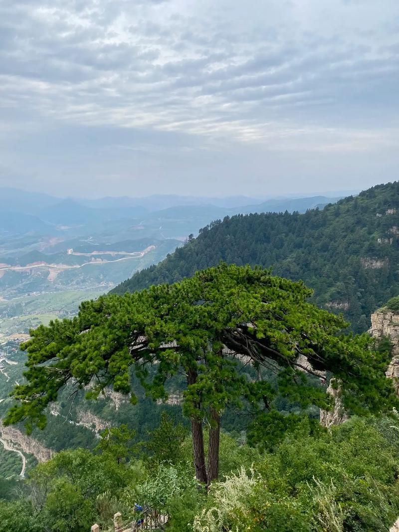 【浑源：恒山屏障下的防疫坚守与零星破防】