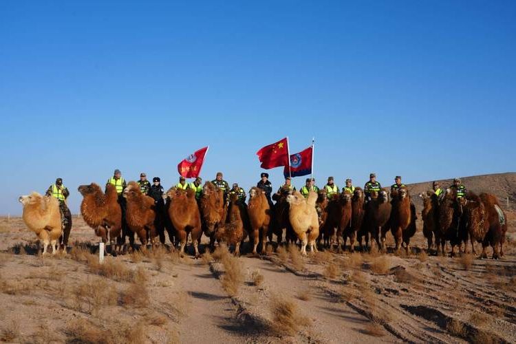 草原屏障与口岸压力：内蒙古边境防疫的双重考验_58957
