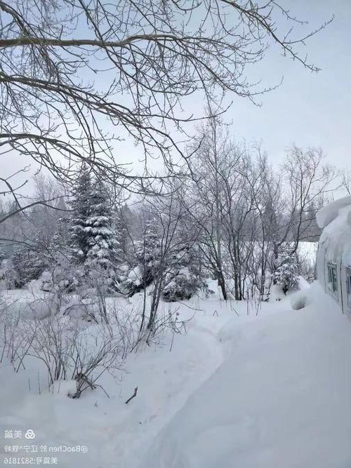 西丰：辽北林海屏障下的疫情低发样本