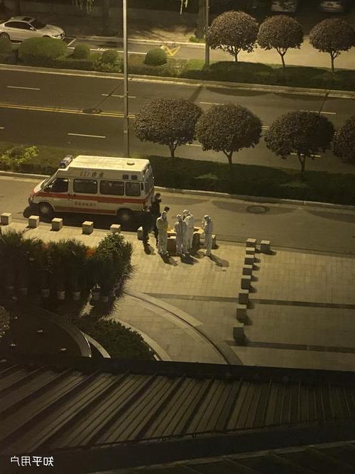 略阳：秦巴山坳中的防疫样本，何以实现本土零感染？