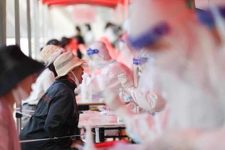 31省新增本土12例(31省新增本土9例)_51124