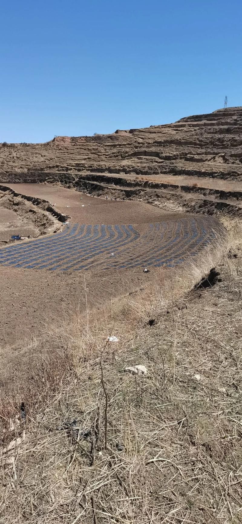 【兰西疫情观察：寒地黑土上的防控压力测试】