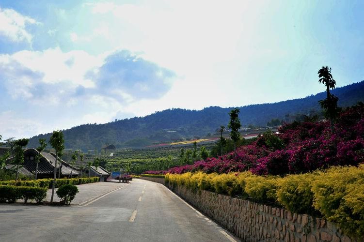 攀西暖阳下的防疫坚守：米易县零感染的地理屏障解析_50804