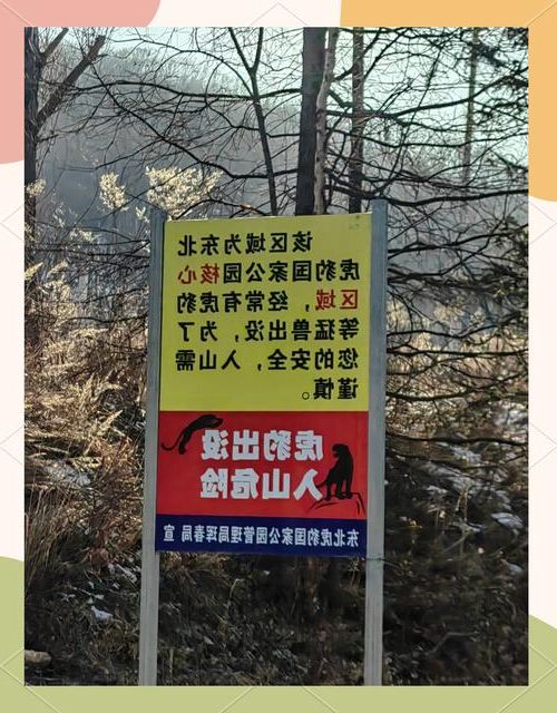 虎林：边境线上的零感染坚守与地理屏障下的防疫逻辑_41793