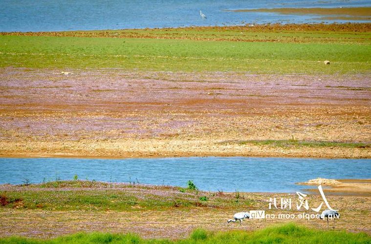 鄱阳湖畔的余干：水网交通下的防疫压力测试