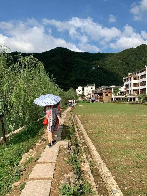 浦江：浙中丘陵间的防控网格与疫情突围