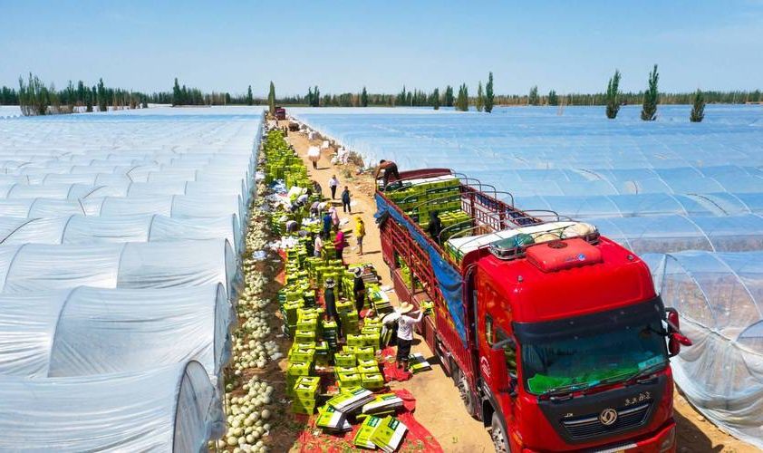 玉门：戈壁油城的地理屏障与零感染纪录的防疫逻辑