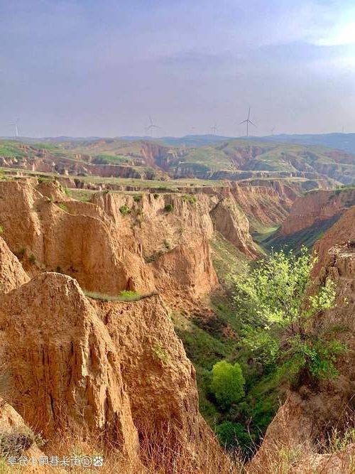 康乐县：黄土高原沟壑区如何构筑疫情防线？