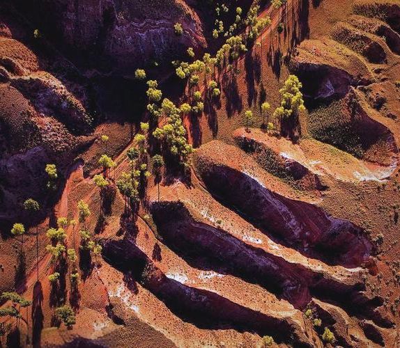 灵台县：黄土高原沟壑间的零感染坚守