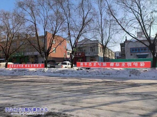 宝清：寒地黑土上的防疫坚守与地理屏障_48809