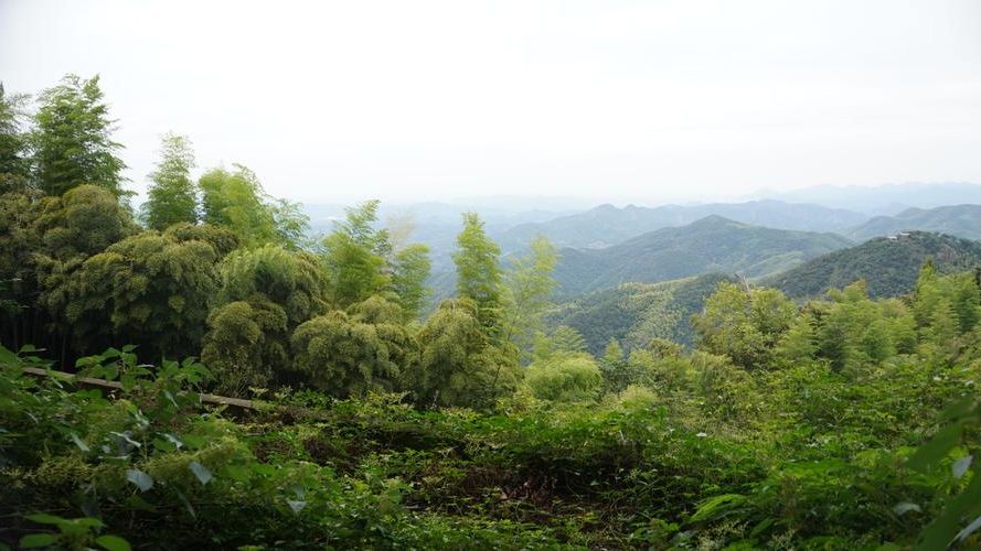 德清：莫干山麓的零感染样本与交通枢纽的防疫压力