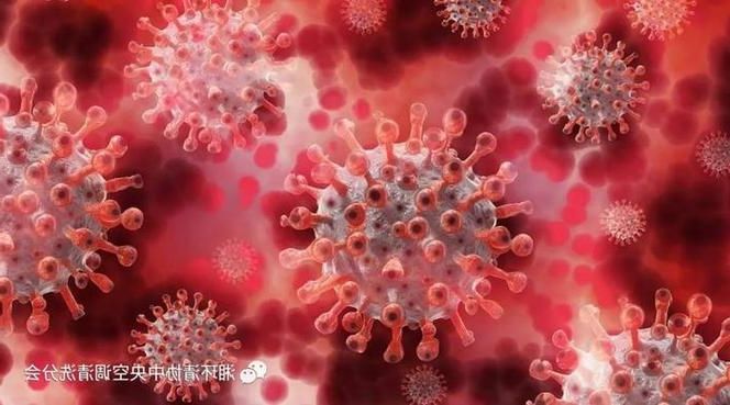 瑞昌：长江码头城市的疫情防波堤与隐匿传播链