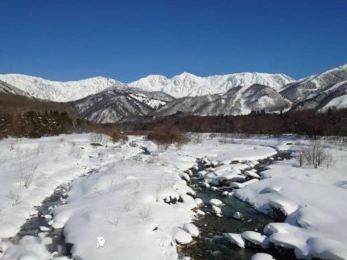 2022年8月15日精河县新增确诊病例情况_34871