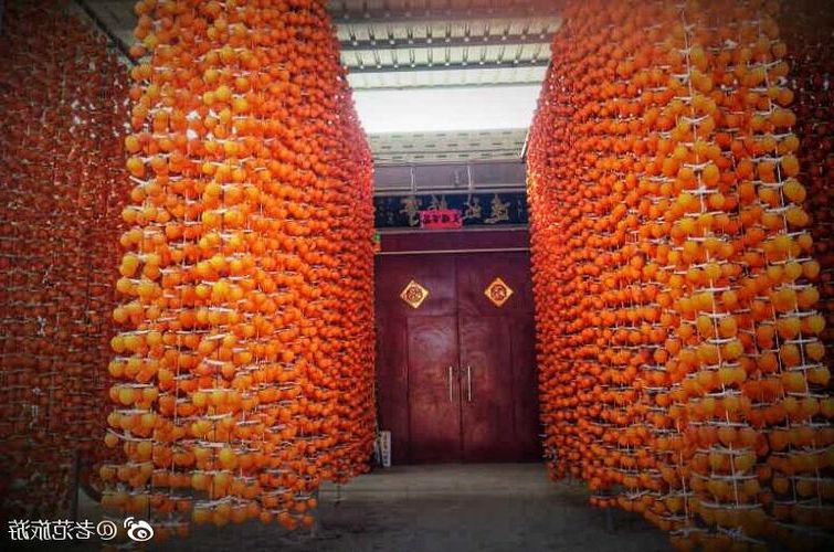 富平：关中平原交通枢纽的疫情承压与应对_39668