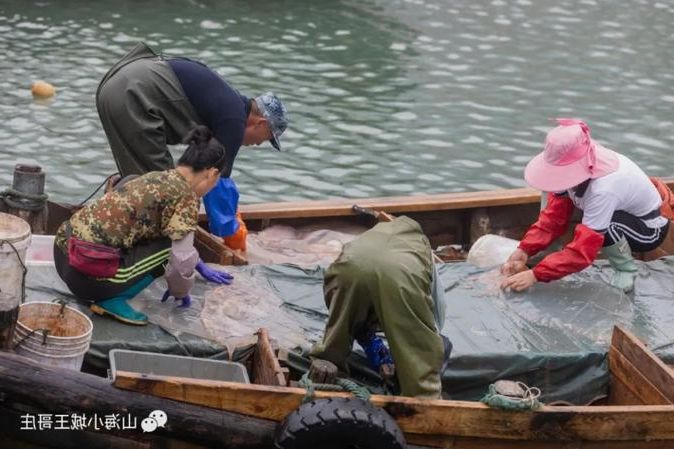 山海屏障与社区网格：崂山区的疫情防控制衡