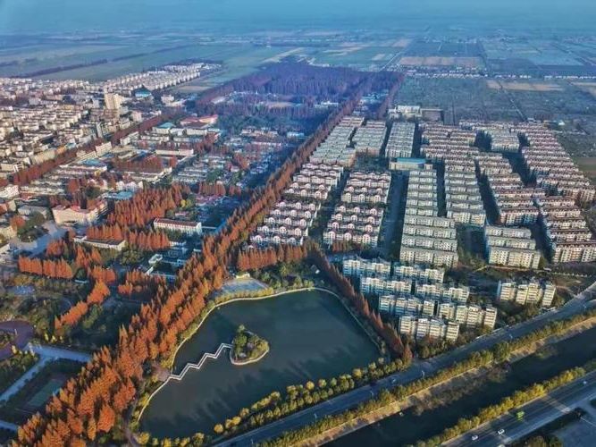 让胡路区：油城交通枢纽下的疫情压力测试