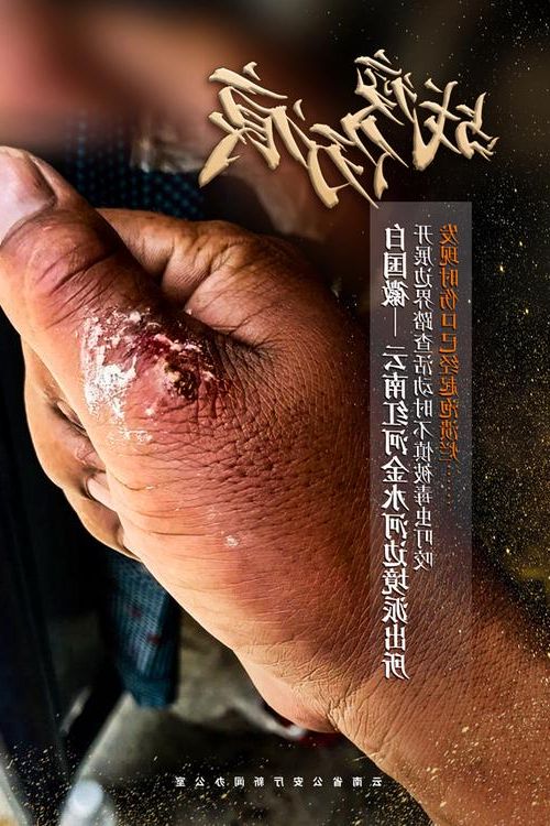 平舆县：豫东南平原腹地的疫情防线与破防时刻
