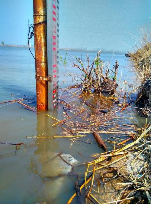 盘锦：辽河湿地屏障下的疫情低发区探因