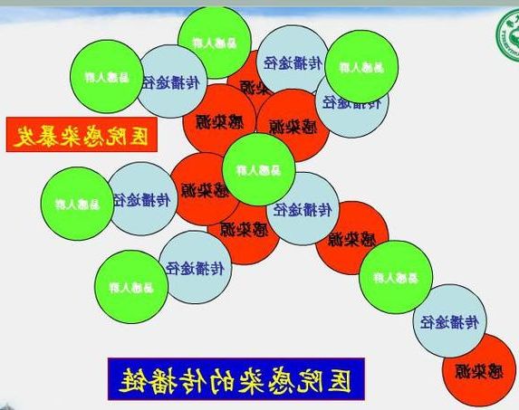 【渝中半岛的防疫困局：山城立体交通下的传播链解析】