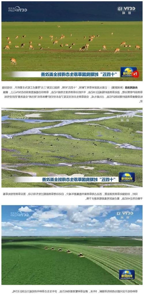 高原屏障下的零感染坚守：丁青县防疫地理优势解析_61589