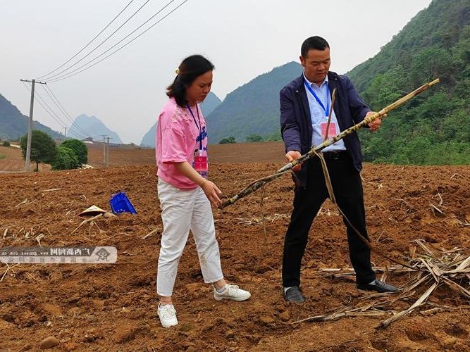 永福新增1例无症状感染者  永福县疫情防控最新通报_63692