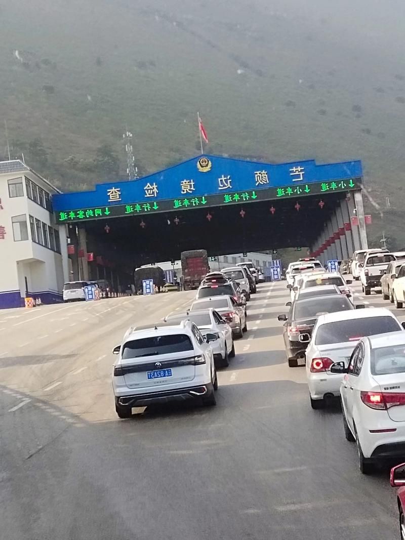 高原小城防疫战：左贡如何守住318国道的零感染防线？