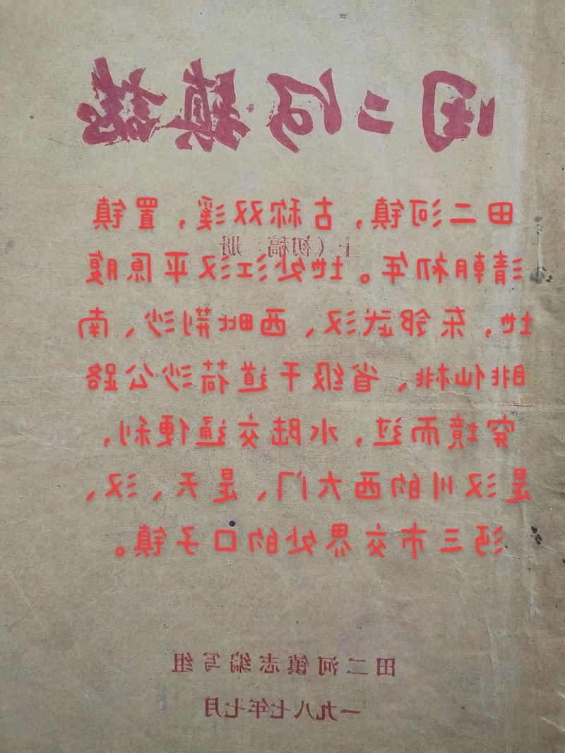 随州样本：江汉平原腹地的疫情地理学观察