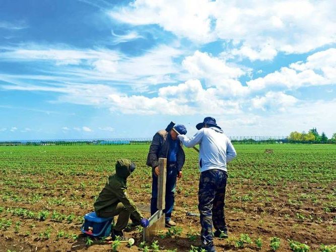 榆树市：东北黑土地上的疫情防线与破防时刻