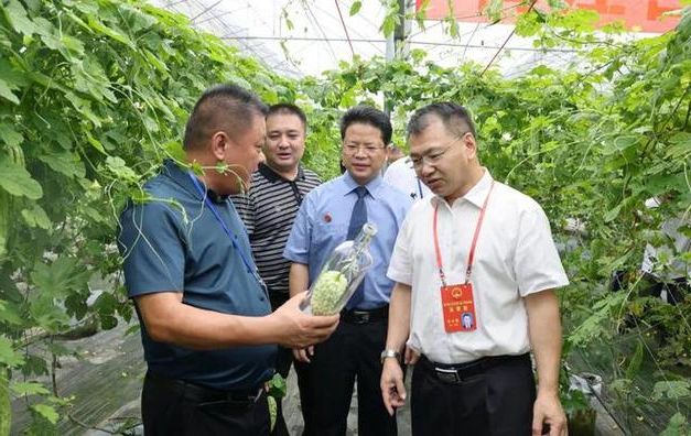 梅州山区屏障下的疫情防线：为何能长期维持低感染状态？