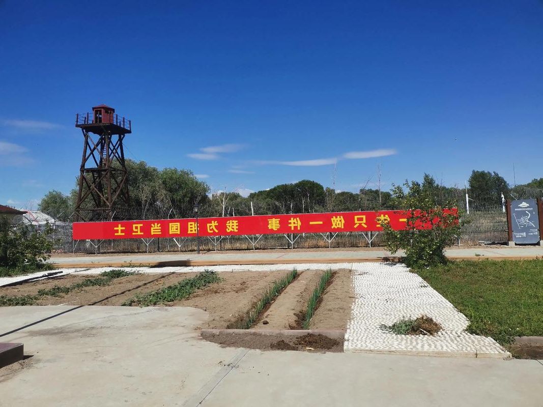 英吉沙县：戈壁绿洲的零感染防线如何筑成？