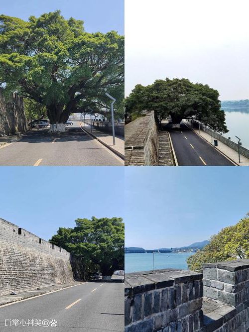 万安：赣江之畔的零感染坚守，地理屏障下的防疫实践