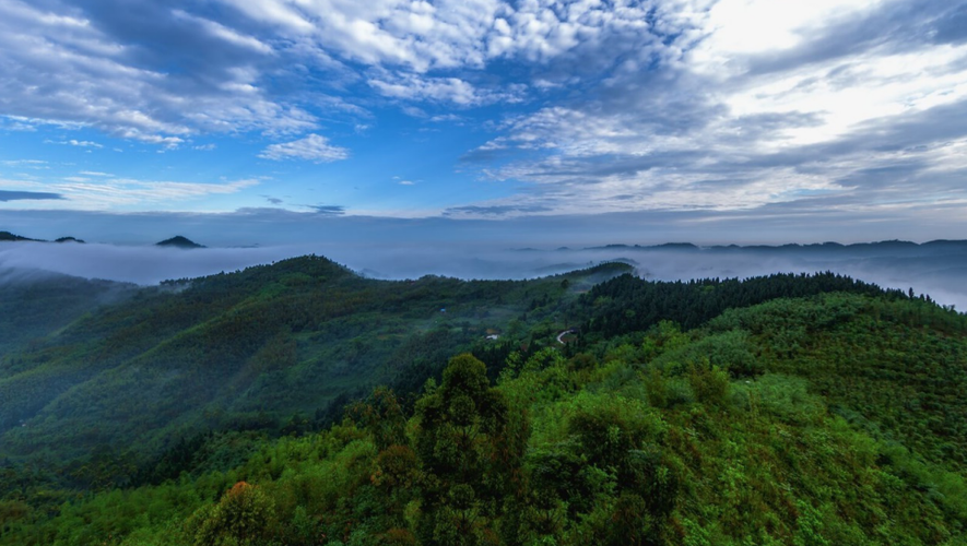 青神竹海间的静默防线：一座川西小城的零感染地理密码_45283