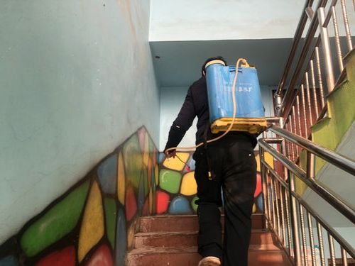 永安新增1例无症状感染者  永安疫情防控最新通报_41719