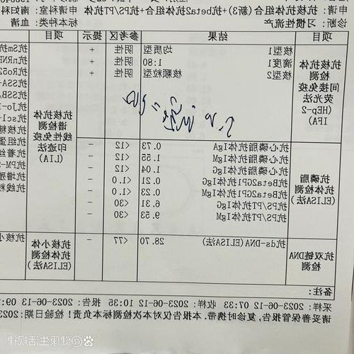 【当阳防疫样本：江汉平原交通枢纽的疫情压力测试】
