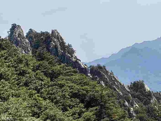 西峡：伏牛山屏障下的零感染坚守与破防时刻_10802